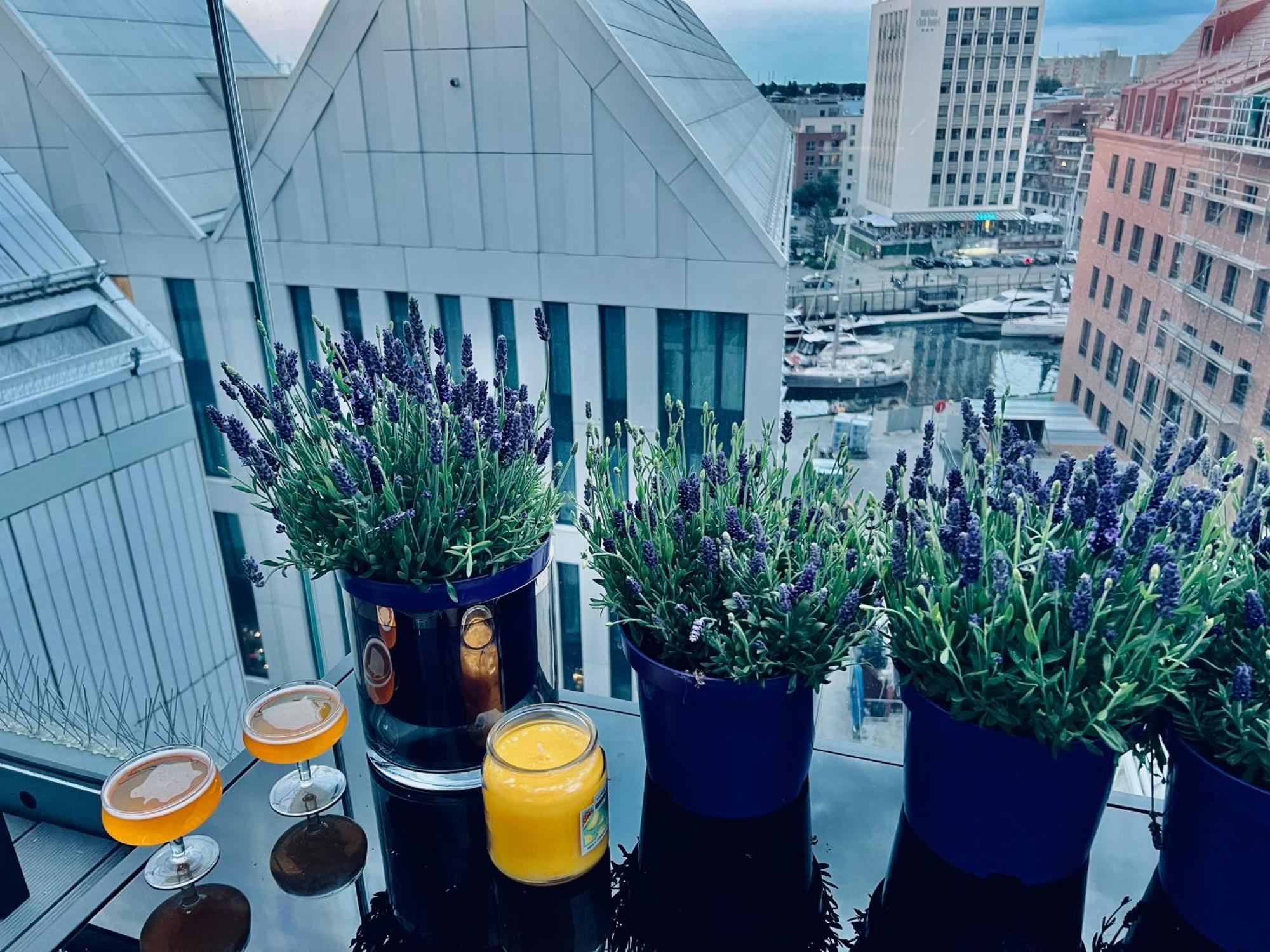 Baltic Riviera With Private Sauna * Gdańsk
