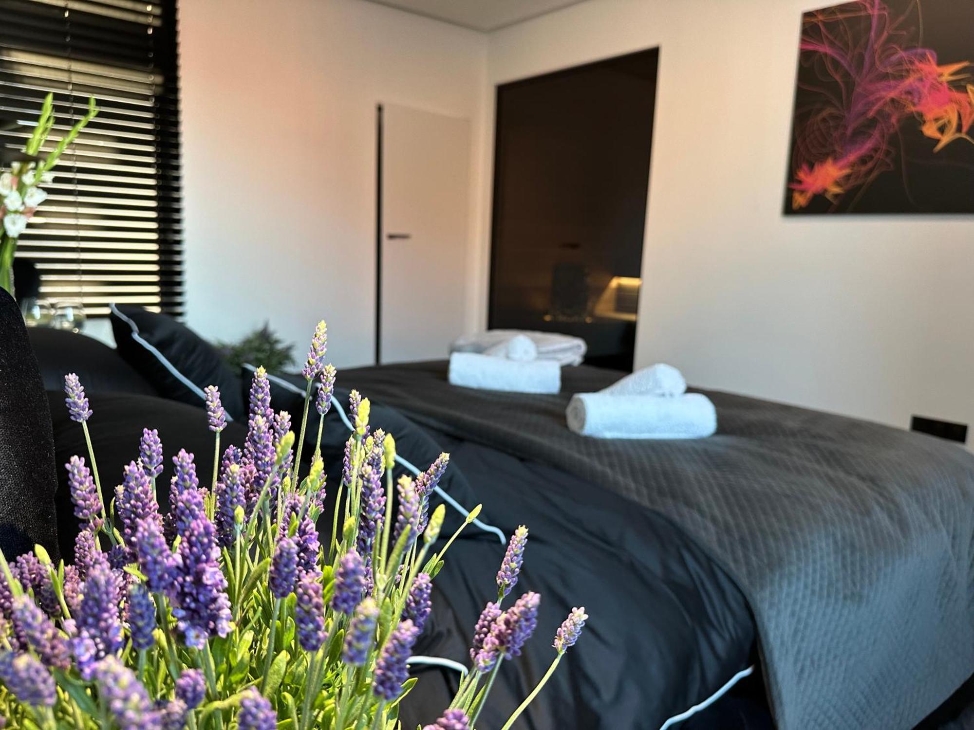 Baltic Riviera With Private Sauna * Gdańsk